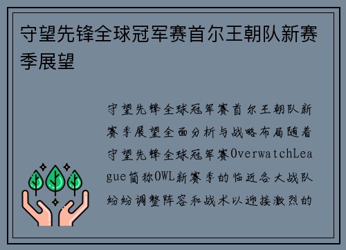 守望先锋全球冠军赛首尔王朝队新赛季展望